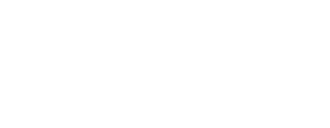 Logo officiel I.C.O.N. blanc
